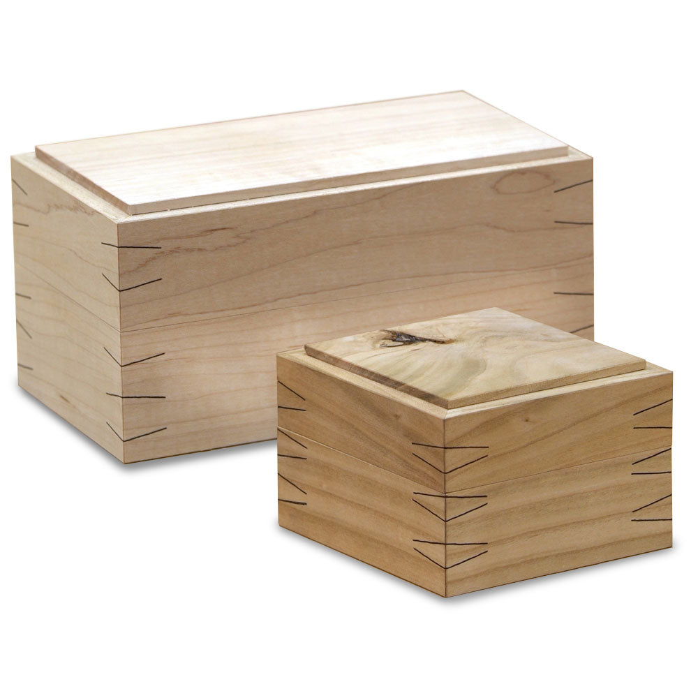 Edle Schatulle
